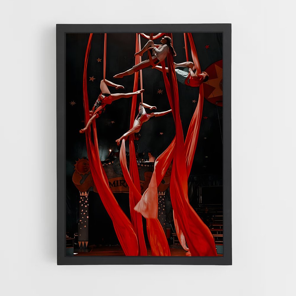 Poster Cirque de soleil (vue 2)